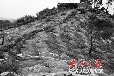 漫山遍野皆是網(wǎng)狀酸液管道。