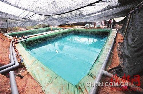 養(yǎng)雞場(chǎng)內(nèi)藏著好幾個(gè)這樣的洗礦池，一層層排列如梯田