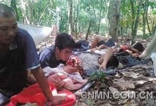 為躲避加納軍警，一些中國采金者在附近的可可樹林躲藏。本版圖片由中國采金者提供