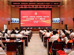 中國銅業(yè)黨委召開“七一”表彰大會(huì)