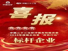 中國(guó)二十二冶再度榮膺“雙百行動(dòng)”標(biāo)桿企業(yè)